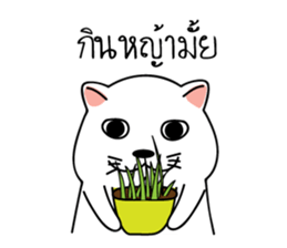 Auan Jung Big Cat sticker #6418542