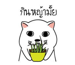 Auan Jung Big Cat sticker #6418542