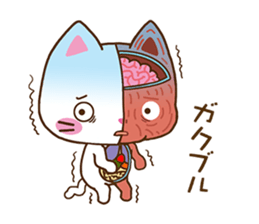 Anatomical model of the kitty's body sticker #6419553