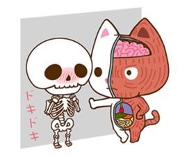 Anatomical model of the kitty's body sticker #6419558