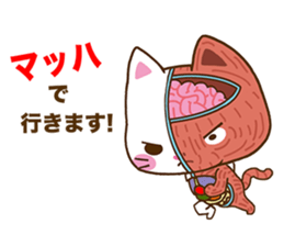 Anatomical model of the kitty's body sticker #6419560