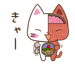 Anatomical model of the kitty's body sticker #6419568