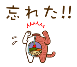 Anatomical model of the kitty's body sticker #6419573