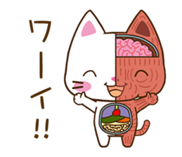 Anatomical model of the kitty's body sticker #6419577