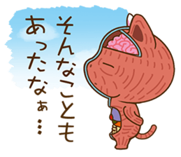 Anatomical model of the kitty's body sticker #6419591