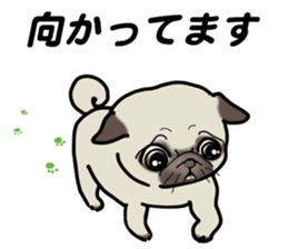 3 Snub-nosed Pups sticker #6420137