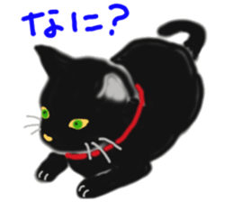 A cute black cat. sticker #6420277