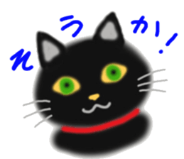 A cute black cat. sticker #6420279