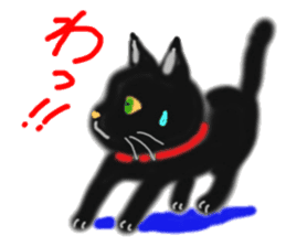 A cute black cat. sticker #6420280