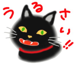 A cute black cat. sticker #6420289