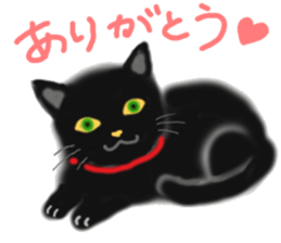 A cute black cat. sticker #6420290
