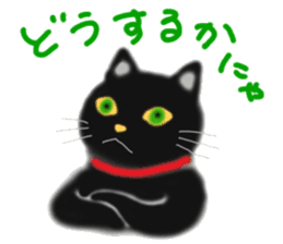 A cute black cat. sticker #6420293