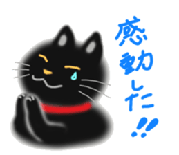 A cute black cat. sticker #6420298