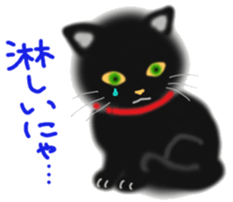 A cute black cat. sticker #6420299