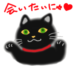 A cute black cat. sticker #6420300