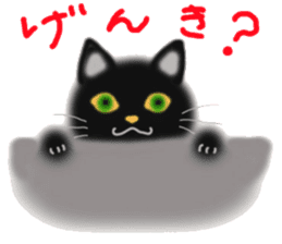 A cute black cat. sticker #6420301