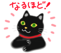A cute black cat. sticker #6420305