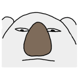 Sobering Koala sticker #6422602