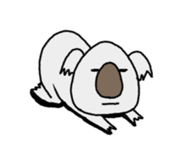 Sobering Koala sticker #6422608
