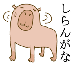 Capybara paradise sticker #6424947