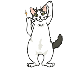 White Cat blend. sticker #6426965