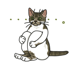 White Cat blend. sticker #6426968