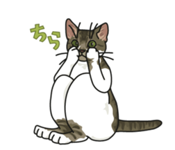 White Cat blend. sticker #6426969