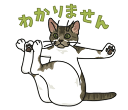 White Cat blend. sticker #6426971