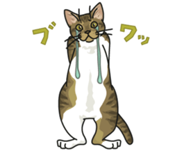 White Cat blend. sticker #6426975