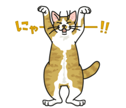 White Cat blend. sticker #6426978