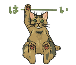 White Cat blend. sticker #6426980