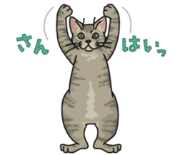 White Cat blend. sticker #6426983