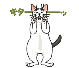 White Cat blend. sticker #6426987