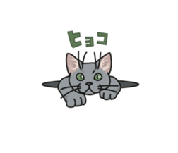 White Cat blend. sticker #6426988