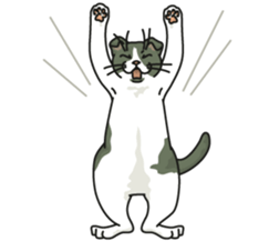 White Cat blend. sticker #6426993