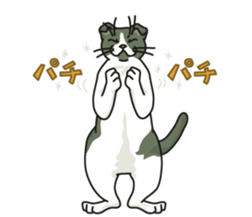 White Cat blend. sticker #6426995