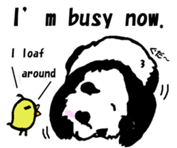 Giant panda say Tatemae(Ver.English) sticker #6428242