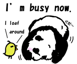 Giant panda say Tatemae(Ver.English) sticker #6428242