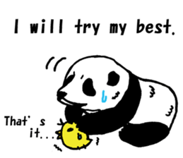 Giant panda say Tatemae(Ver.English) sticker #6428243