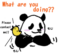 Giant panda say Tatemae(Ver.English) sticker #6428249