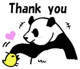 Giant panda say Tatemae(Ver.English) sticker #6428255