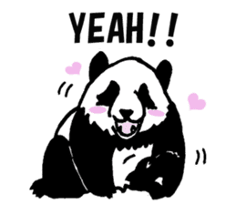 Giant panda say Tatemae(Ver.English) sticker #6428257