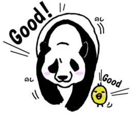 Giant panda say Tatemae(Ver.English) sticker #6428262