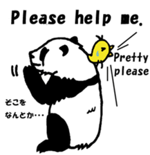 Giant panda say Tatemae(Ver.English) sticker #6428267