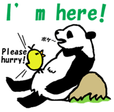 Giant panda say Tatemae(Ver.English) sticker #6428268