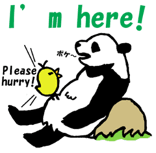 Giant panda say Tatemae(Ver.English) sticker #6428268