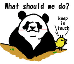 Giant panda say Tatemae(Ver.English) sticker #6428271