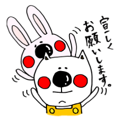 Hiroto of rabbit and YT cat