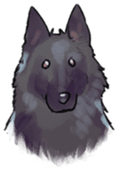 Dog stickers; Belgian Groenendael sticker #6430640