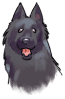 Dog stickers; Belgian Groenendael sticker #6430643